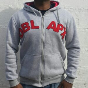 Double Apex hoodie (grey)